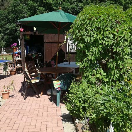 Ferienwohnung Am Wald Tharandt Extérieur photo